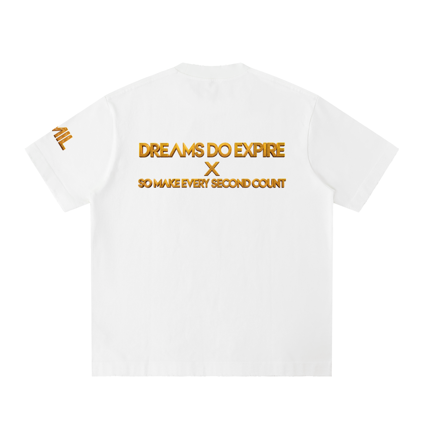 ALL MONEY IS LEGAL Dreams Do Expire 430 GSM Heavyweight T-Shirt