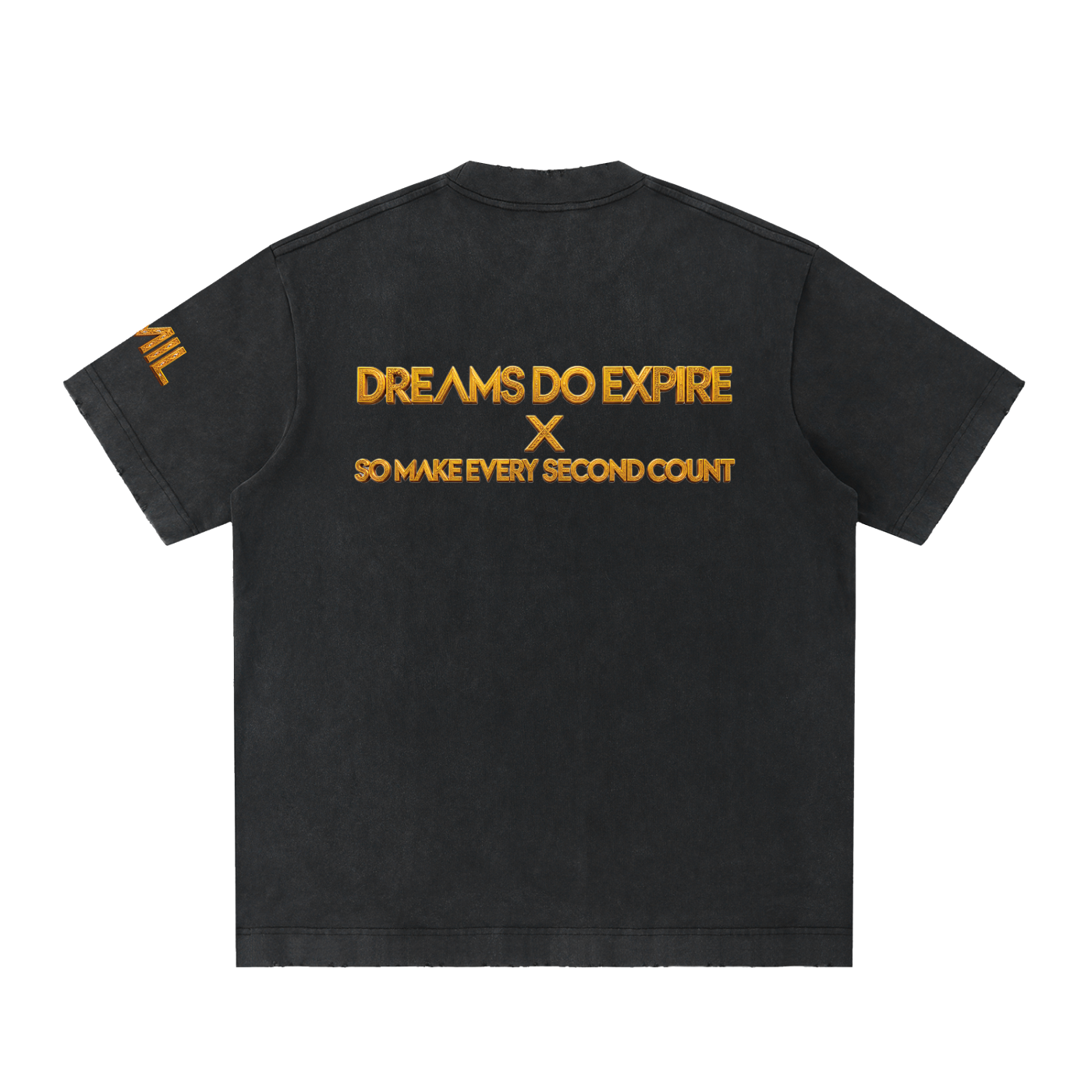 ALL MONEY IS LEGAL Dreams Do Expire 430 GSM Heavyweight T-Shirt